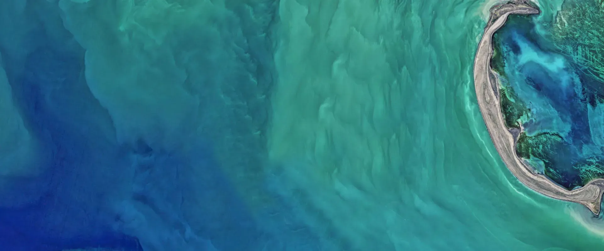 The Earthshot Prize